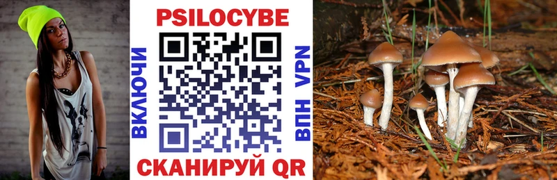 Галлюциногенные грибы прущие грибы  Инта 